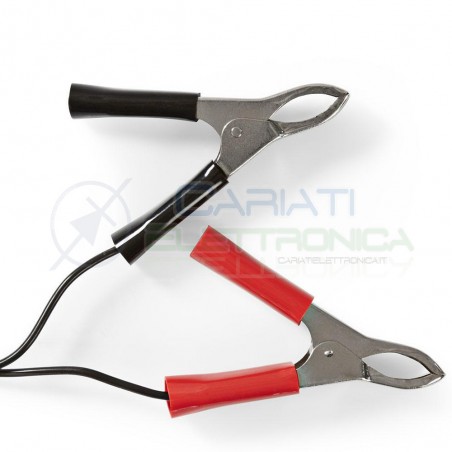 Caricabatterie per batterie piombo acido Tensione 2V 6V 12 VNedis