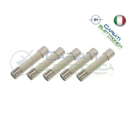 5 PEZZI FUSIBILI FUSIBILE 5X20 6A 250V CERAMICOGenerico