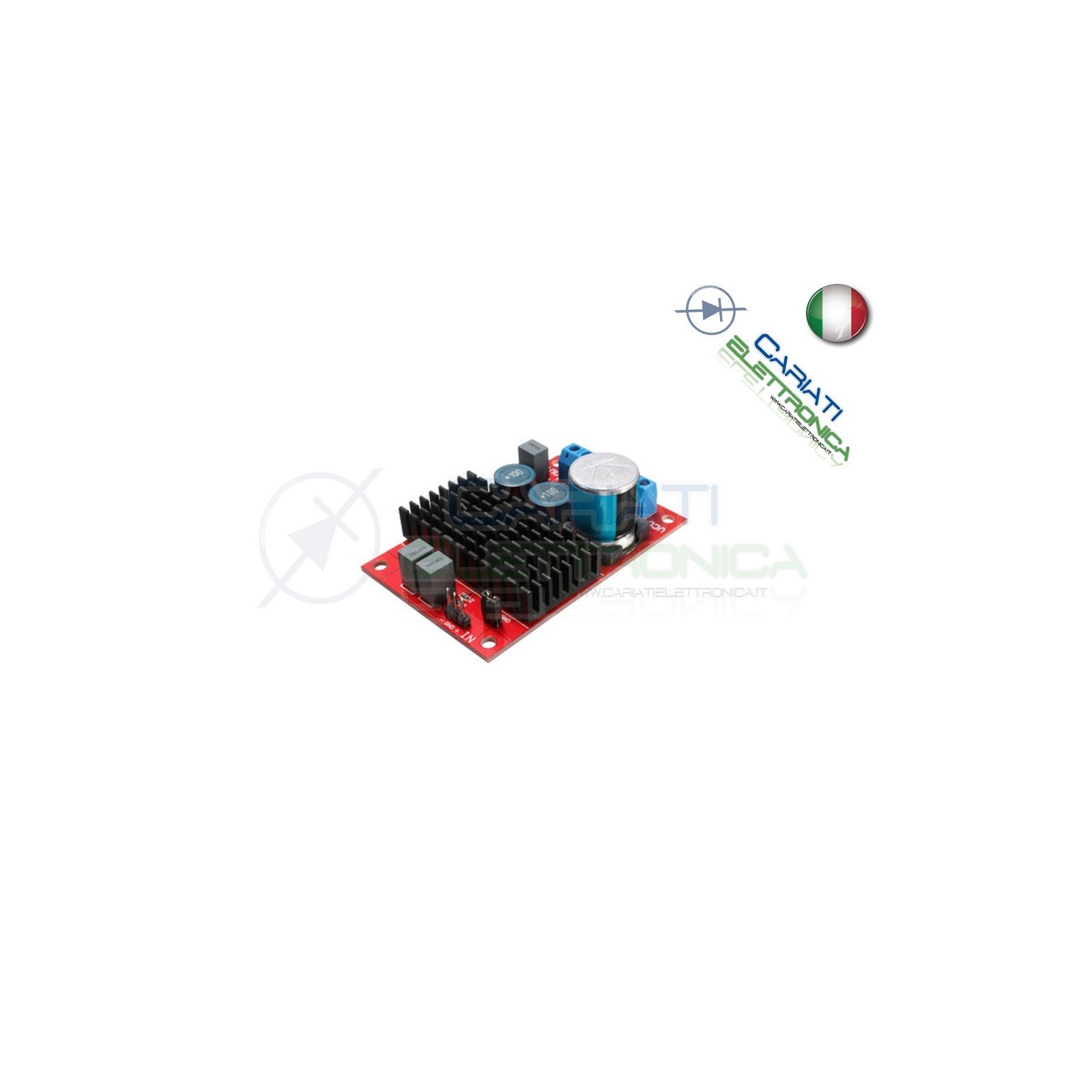 Amplificatore audio TPA3116 12V 24V potenza massima 100W
