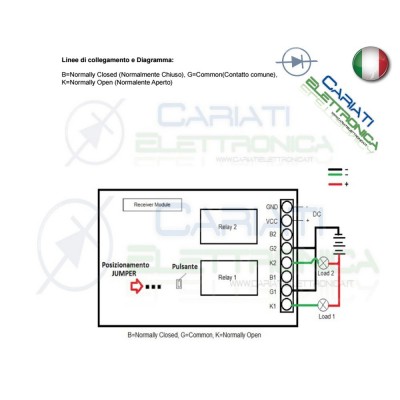 Scheda Ricevente Ricevitore 24V 433 Mhz 2 Relè Canali con Telecomando