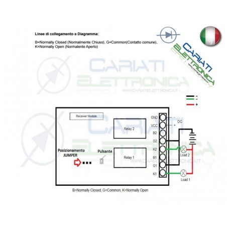 Scheda Ricevente Ricevitore 24V 433 Mhz 2 Relè Canali con Telecomando