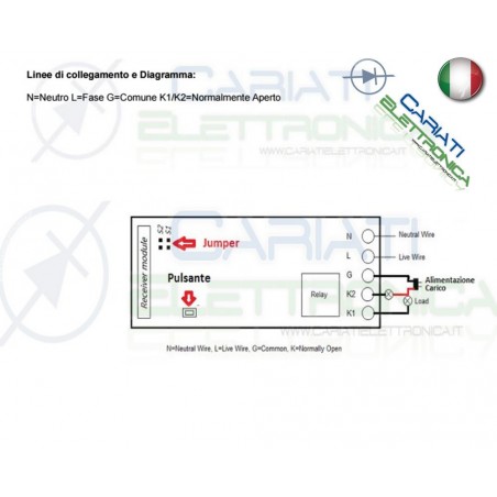 Scheda Ricevente Ricevitore 230V 433 Mhz 2 Relè Canali con Telecomando