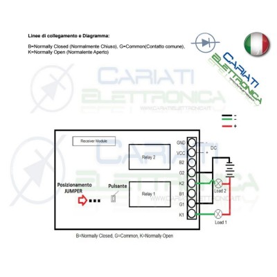 Centralina Scheda Ricevente Ricevitore 12V 433Mhz 2 Relè Canali con Telecomando