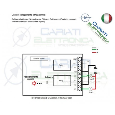 Centralina Scheda Ricevente Ricevitore 12V 433Mhz 2 Relè Canali con Telecomando